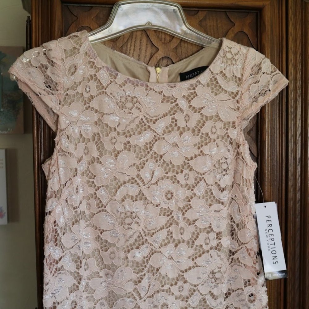 PERCEPTIONS New York Blush Nude Lace Sheath Dress - NWT! - Picture 4 of 16